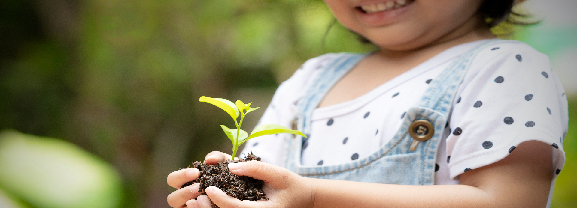 Sustainable Development